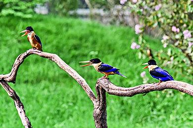 像素风黑色幽默推理游戏《千方百计》现已推出试玩Demo